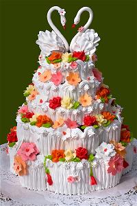 vnvn-web-design-cakes-2